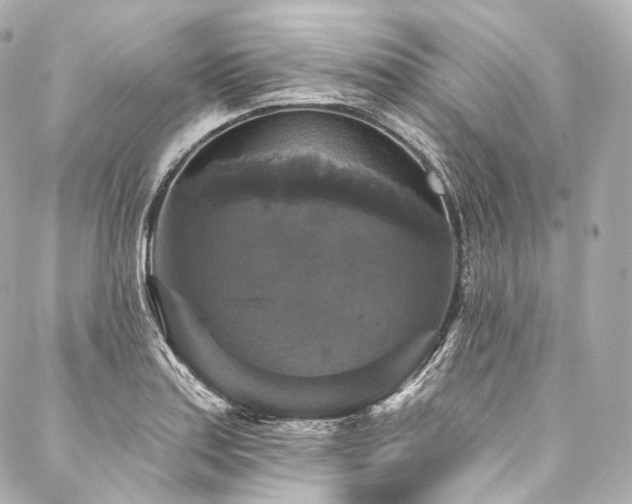 X0000088141179200705141503