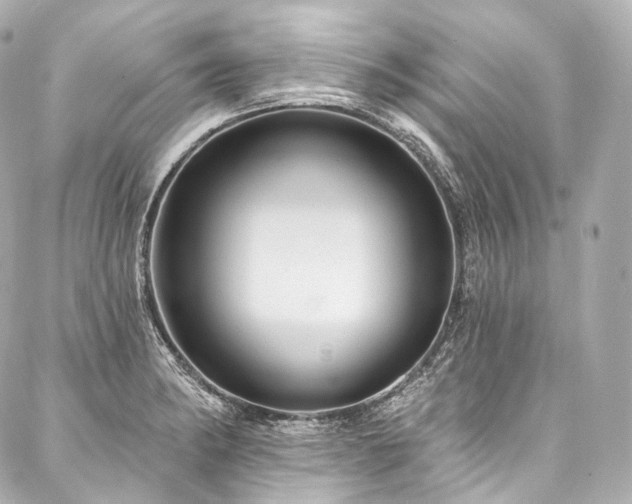 X0000088141182200705141503