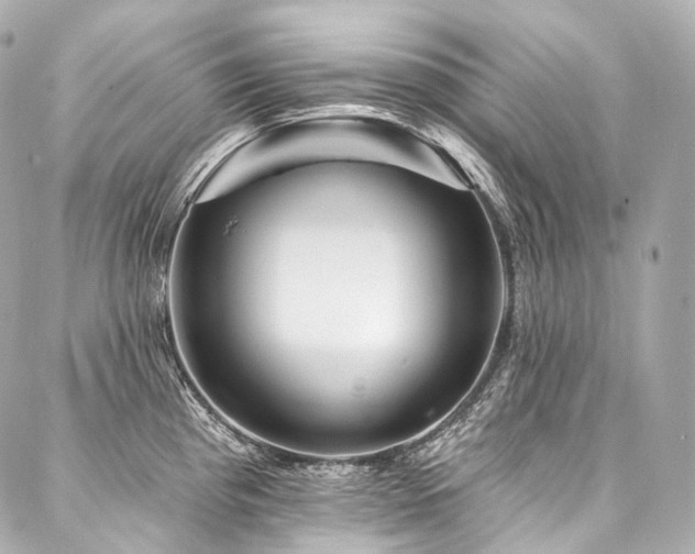 X0000088141193200705141503