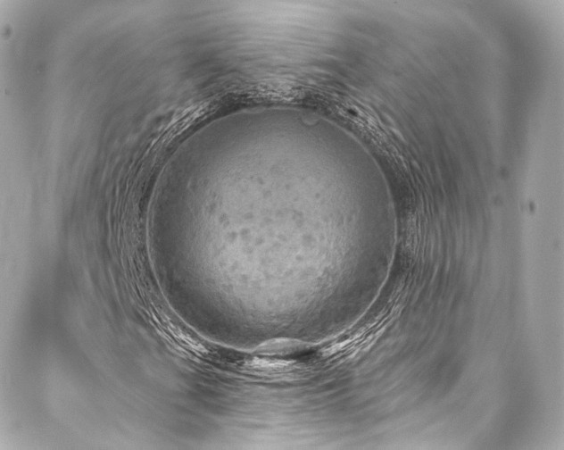 X0000088141201200705141502