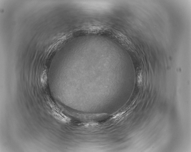X0000088141204200705141502