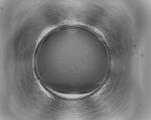 X0000088141231200705141503