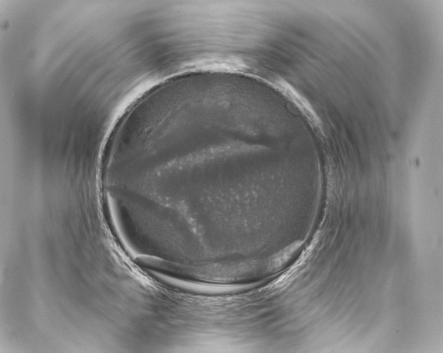 X0000088141240200705141503