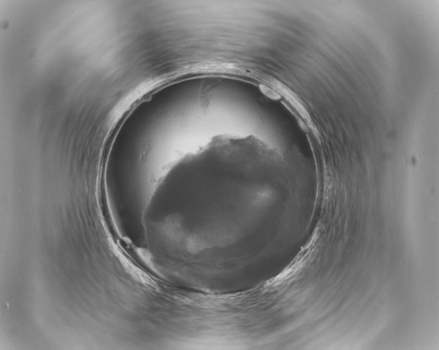 X0000088141245200705141503