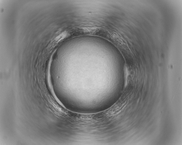 X0000088141249200705141502