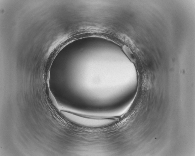 X0000088141261200705141502