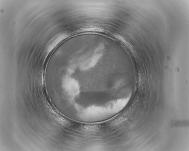X0000088141274200705141502