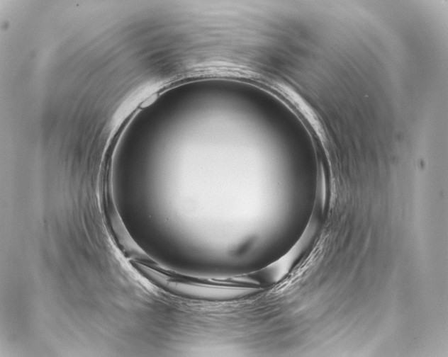 X0000088141293200705141501