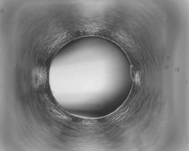 X0000088141299200705141501