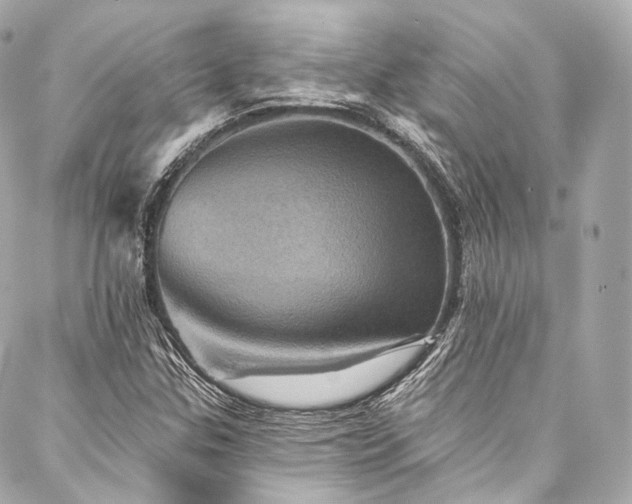 X0000088141307200705141501
