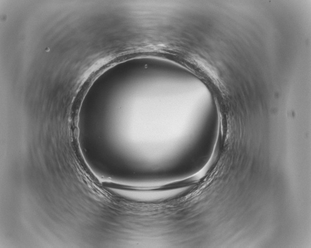 X0000088141308200705141501