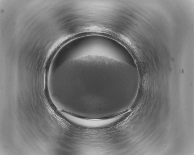 X0000088141323200705141501
