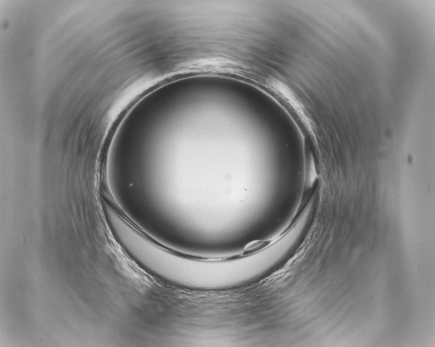 X0000088141336200705141501