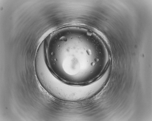 X0000088141338200705141501