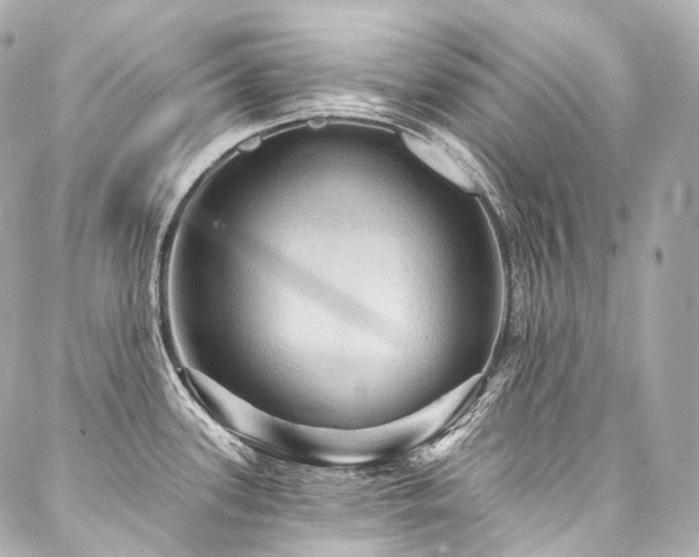 X0000088141339200705141501