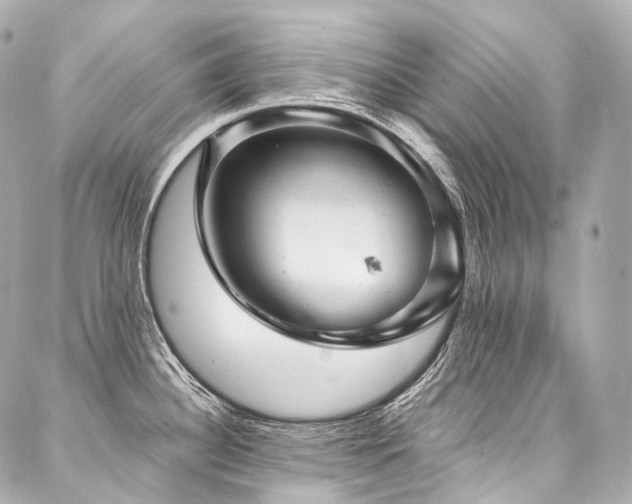 X0000088141340200705141501
