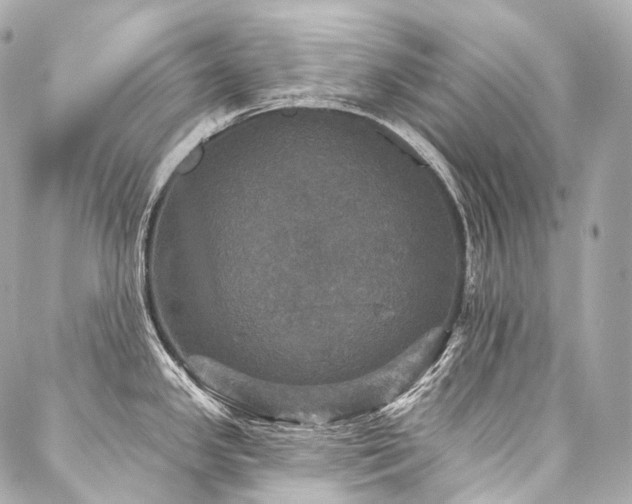 X0000088141341200705141501