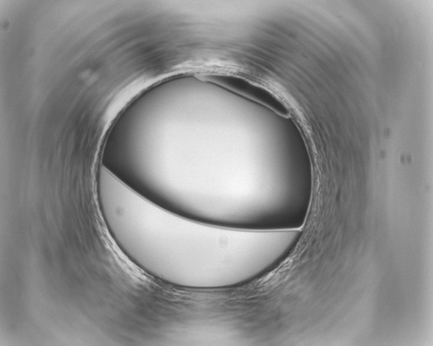 X0000088141344200705141501