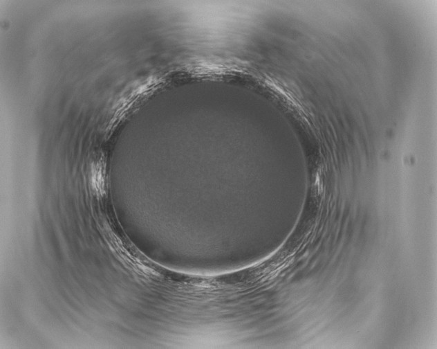 X0000088141348200705141501