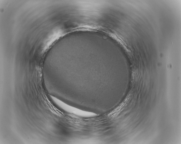 X0000088141355200705141500