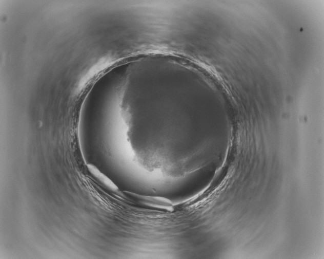 X0000088141359200705141500