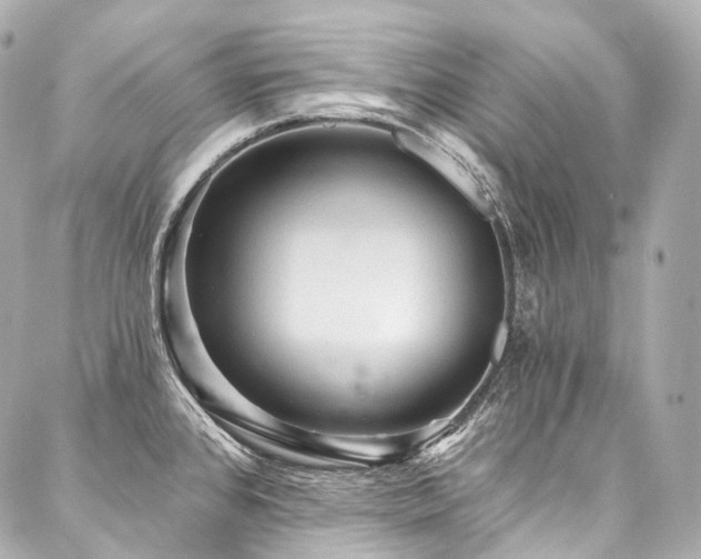 X0000088141384200705141500