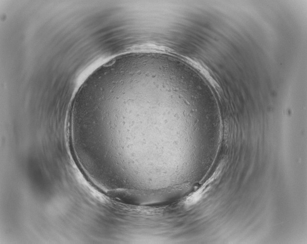 X0000088141387200705141500