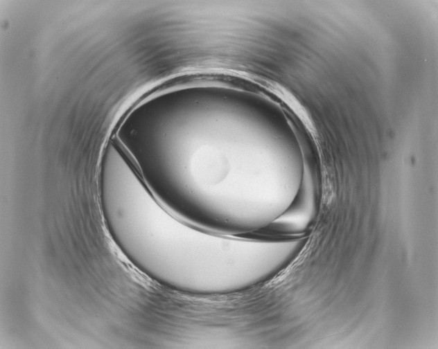 X0000088141388200705141500