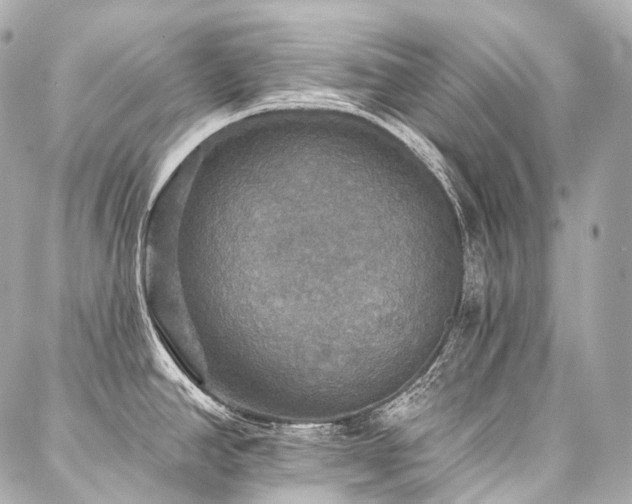 X0000088141390200705141500