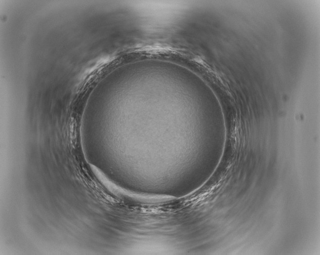 X0000088141398200705141459