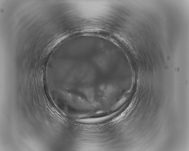 X0000088141401200705141459