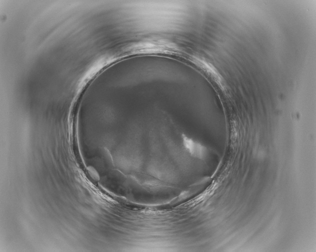 X0000088141419200705141459