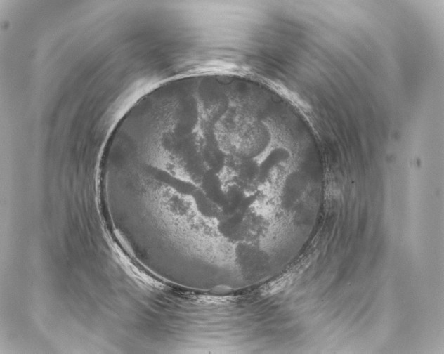 X0000088141423200705141500