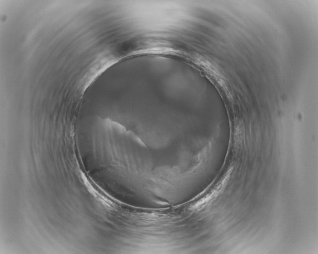 X0000088141425200705141500