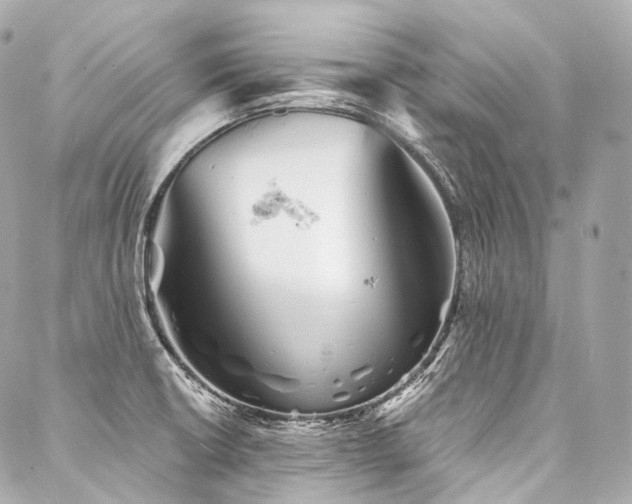 X0000088141426200705141500