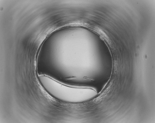 X0000088141428200705141500
