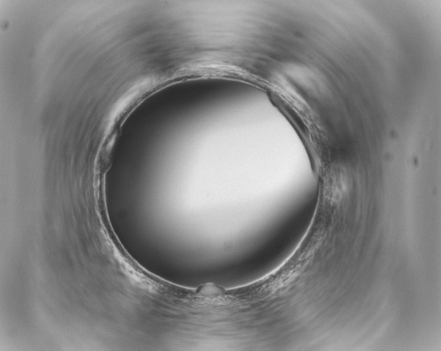 X0000088141430200705141500