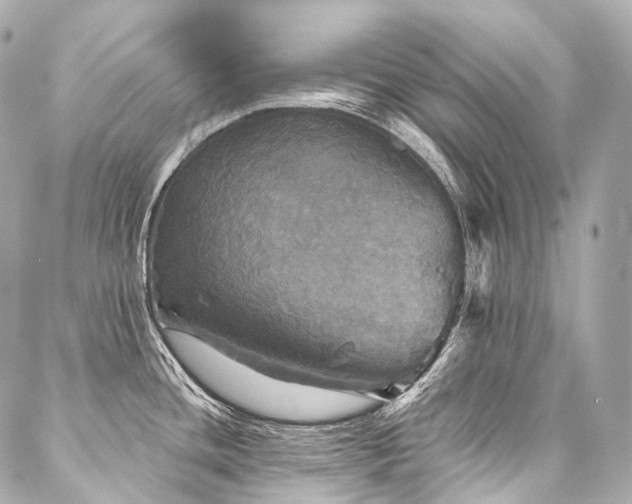X0000088141436200705141500