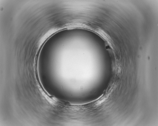 X0000088141438200705141500