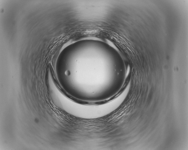 X0000088141441200705141459