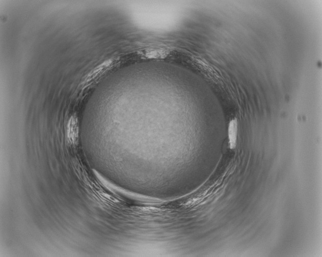 X0000088141443200705141459