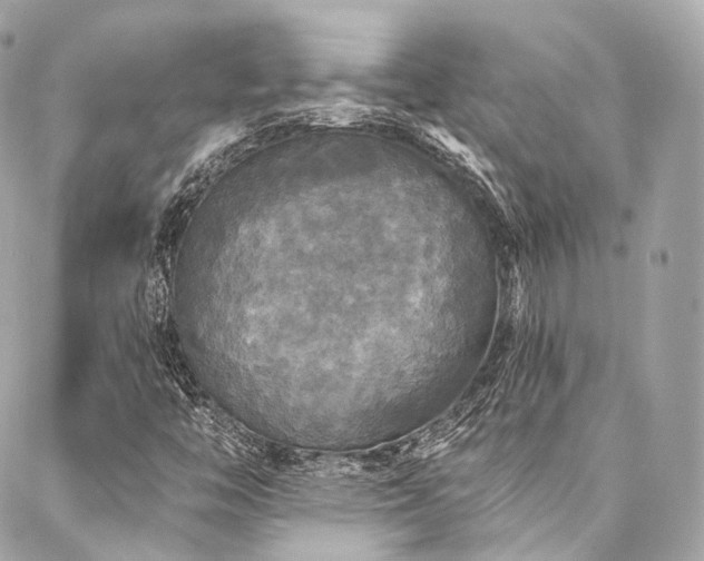 X0000088141446200705141459