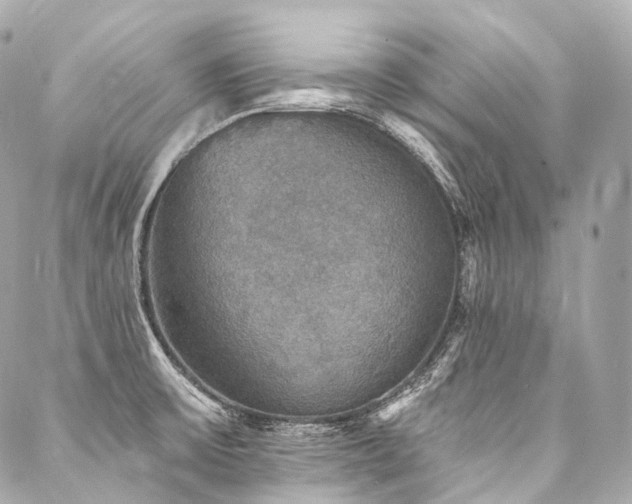 X0000088141475200705141458