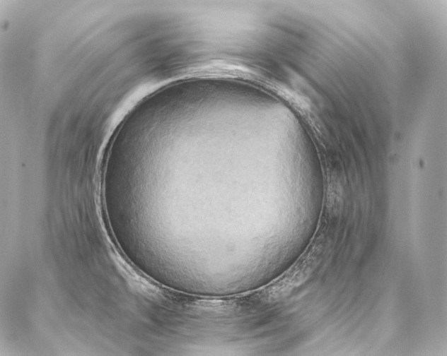 X0000088141478200705141458