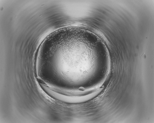 X0000088141483200705141458