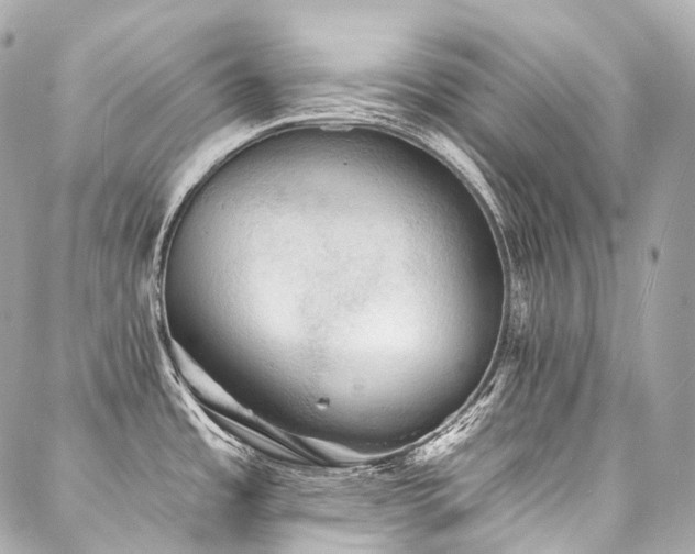 X0000088141485200705141458