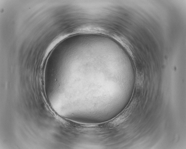 X0000088141486200705141458
