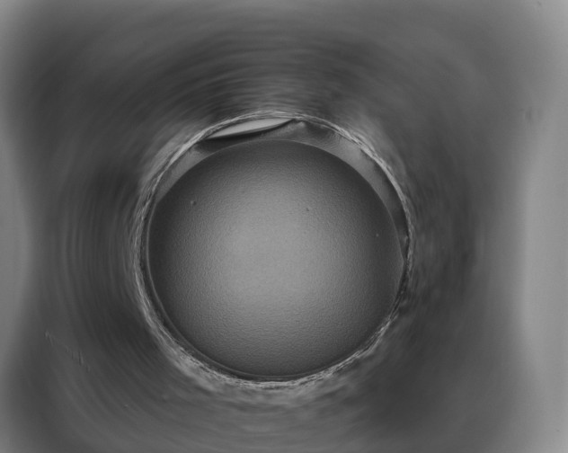X0000088140001200705211145