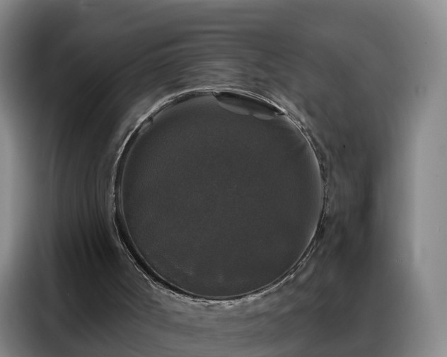 X0000088140002200705211145