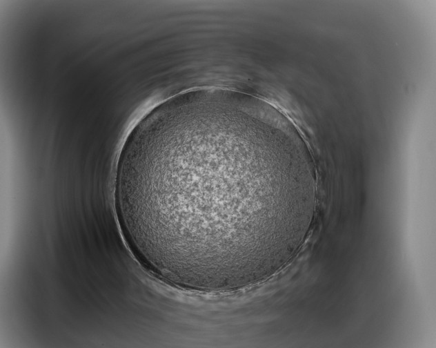 X0000088140003200705211145
